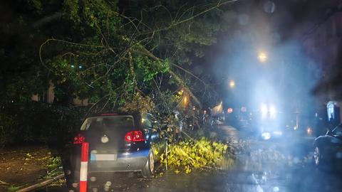 Auf einer Straße in einem Wohngebiet ist ein Baum auf ein Auto gestürzt.