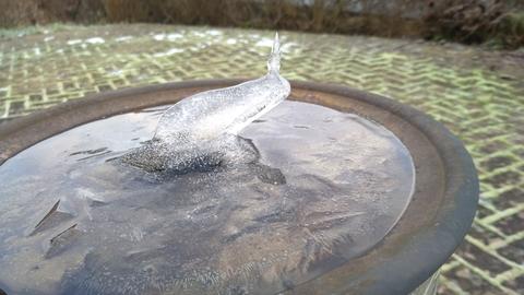 Ein zugefrorener Blumenkübel mit einer Eisfigur.