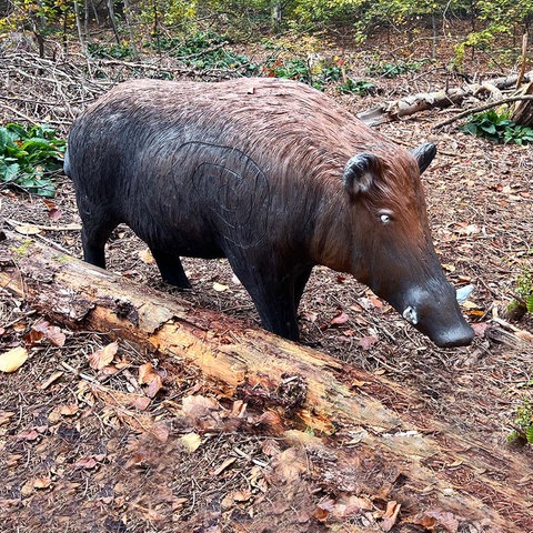 Bildkombination aus zwei Fotos: links ein Schwein aus Holz im Wald mit einer Zielscheibe auf dem Bauch, rechts ein Schild im Waldboden, welches auf Bogenschützen im Wald hinweist.