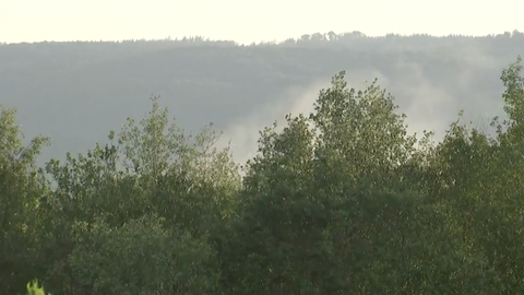 Eine Staubwolke über einem grünen Wald.