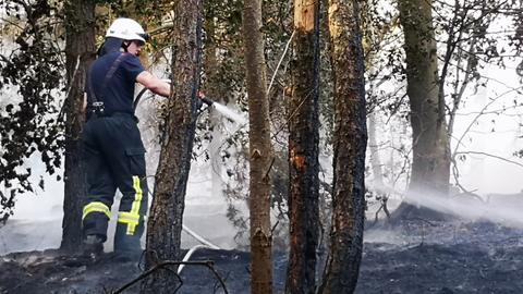 Feuerwehr löscht Waldbrand