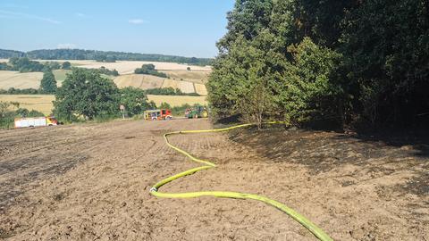 Die abgebrannte Fläche in Cölbe.