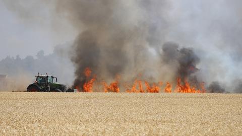 Flammen auf einem Feld bei Riedstadt