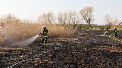 Löscharbeiten auf einem Feld bei Groß-Gerau