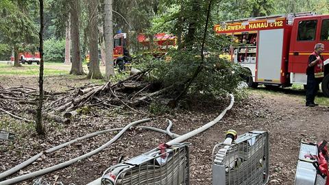 Auf rund 500 Quadratmetern hat es heute früh in einem Waldstück in Hanau gebrannt. 