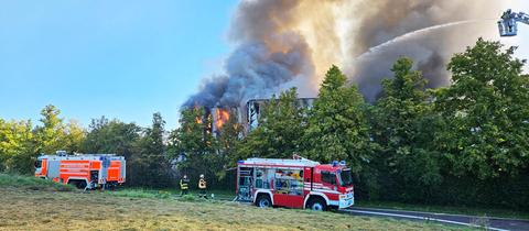 Zwei Feuerwehrautos und -einsatzkräfte stehen vor einem Gebüsch. Dahinter lodern Flammen und steigen Rauchschaden auf.