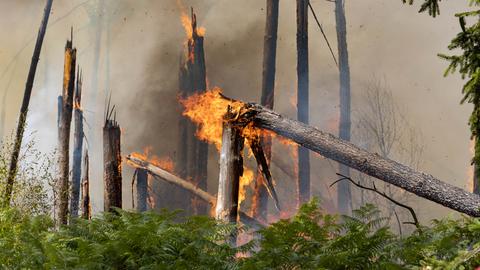 Brand bei Münster-Breitefeld