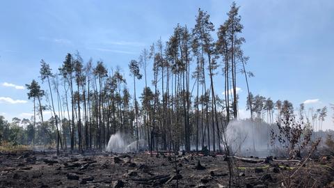 Die Feuerwehr hält den Boden mit Wassersprinklern feucht.