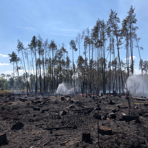 Die Feuerwehr hält den Boden mit Wassersprinklern feucht.