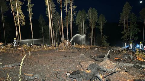 Kaum Bäume mehr: Auf dieser Waldfläche brannte es in Nentershausen (Hersfeld-Rotenburg).