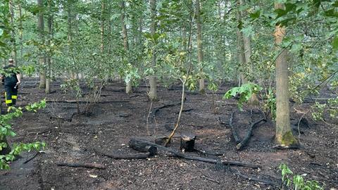 Bäume und Äste liegen verbrannt am Boden.