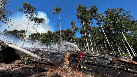 Ein Feuerwehrmann hält einen Schlauch und löscht das Feuer im Taunus.