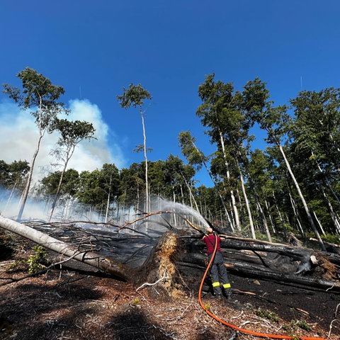 Ein Feuerwehrmann hält einen Schlauch und löscht das Feuer im Taunus.