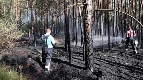 Einsatzkräfte versuchen bei Hainburg einen Brand zu löschen.