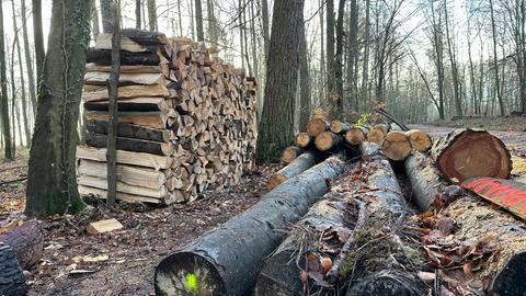 Brennholz liegt im Wald bei Fischbachtal zur Abholung bereit.