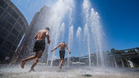 Erfrischung im Brunnen in Frankfurt