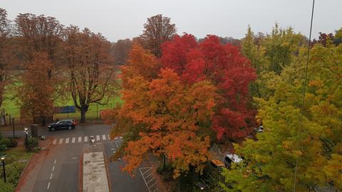 Blick aus dem Fenster zur Einfahrt Ostpforte in den hr. Dort stehen Bäume in bunten Herbstfarben.
