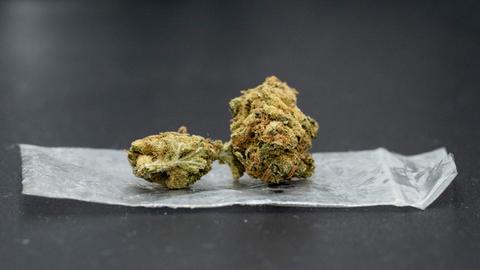Eine Cannabisblüte liegt auf einem Plastikbeutel.