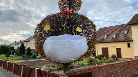 Ein Baum mit Maske in Künzell