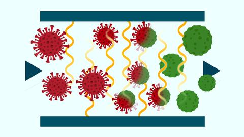 Illustration mit Corona Viren fließen durch Strombad, rot ... grün