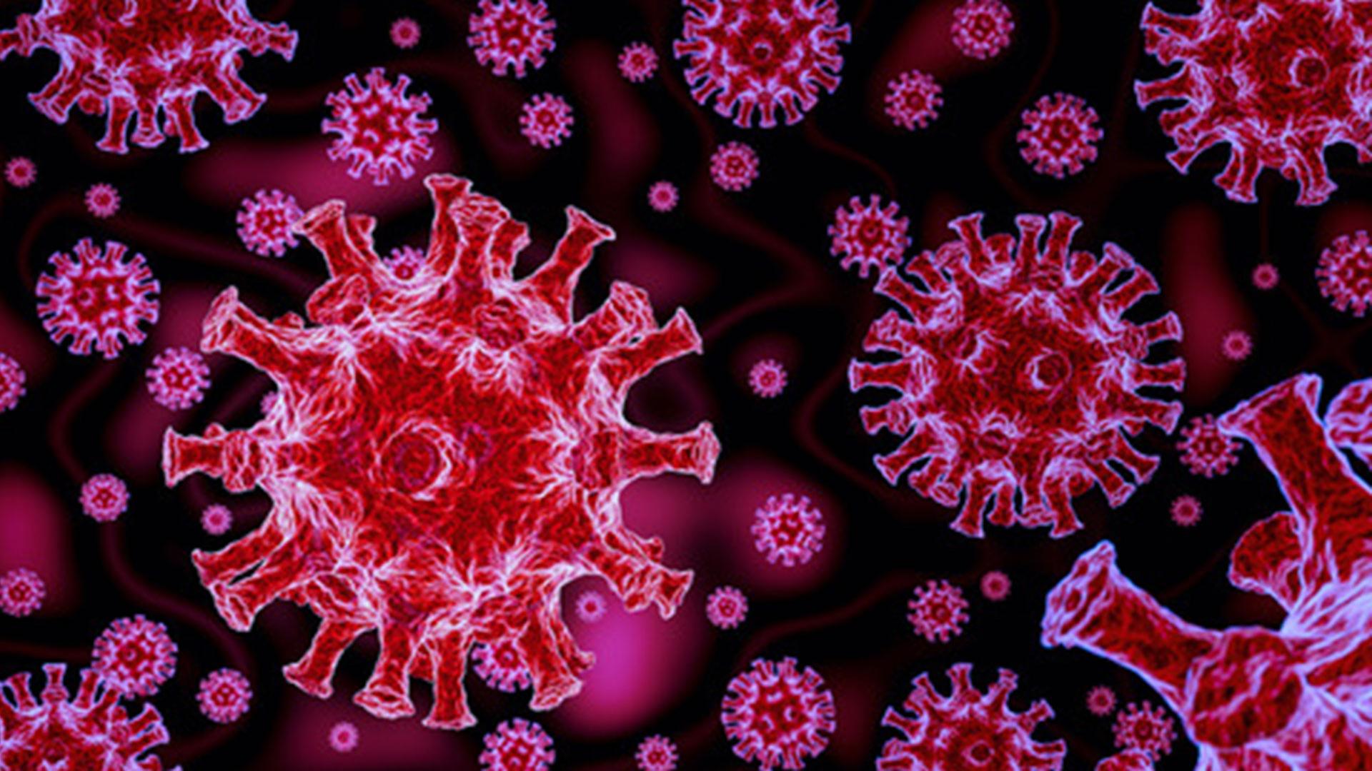 Coronavirus-in-Hessen-Die-wichtigsten-Nachrichten-im-Ticker