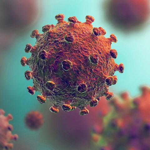 Corona virus topic