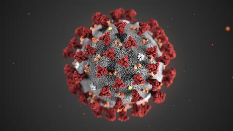 Coronavirus-Modell