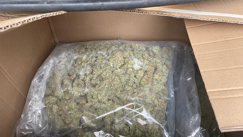Ein Beutel mit Cannabis-Blüten liegt in einer Kiste aus Pappe im Kofferraum eines schwarzen Mercedes.