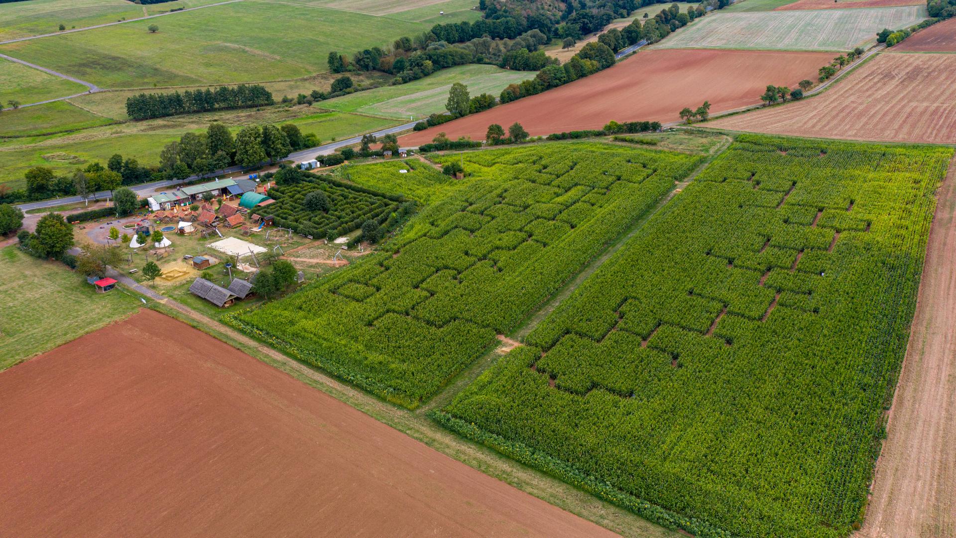 In diesen Mais Labyrinthen in Hessen können Sie sich 2024 verirren
