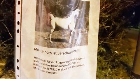 Zettel mit Titel "Einhorn verschwunden" an Laterne