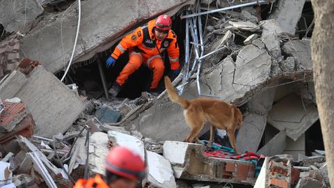 Ein Mann und ein Hund laufen über die Trümmer eines eingestürzten Hauses.