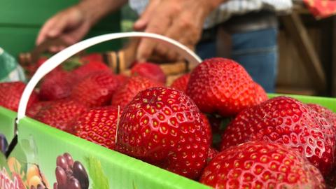 Erdbeeren in einem Korb in Nahaufnahme.