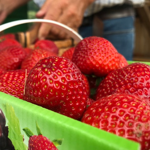Erdbeeren in einem Korb in Nahaufnahme.