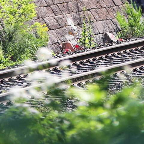 Rot markierte Erdbrocken liegen neben Gleisen. 