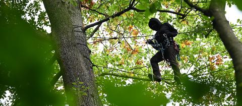 Ein Mensch in schwarzen Kleidern, Gesichtsbedeckung und Kletterausrüstung auf Seilen zwischen Bäumen