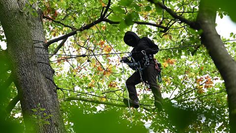 Ein Mensch in schwarzen Kleidern, Gesichtsbedeckung und Kletterausrüstung auf Seilen zwischen Bäumen