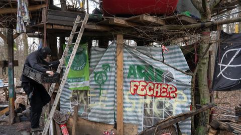 Ein Mann klettert die Leiter an einem Baumhaus herunter