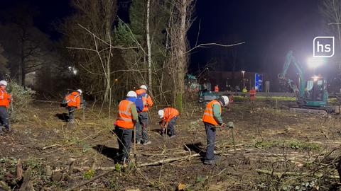 Bauarbeiter mit Warnwesten roden den Wald.