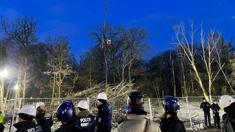 Polizisten stehen vor dem abgesperrten Waldstück. In einem Baum ist in hoher Höhe eine Plattform mit einem kleinen Häuschen befestigt.