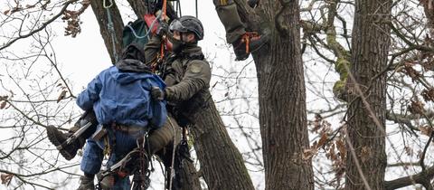 Menschen hängen mit Kletterausrüstung an Seilen in einem Baum.