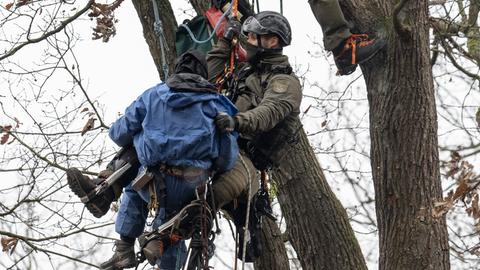 Menschen hängen mit Kletterausrüstung an Seilen in einem Baum.