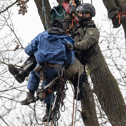 Menschen hängen mit Kletterausrüstung an Seilen in einem Baum.