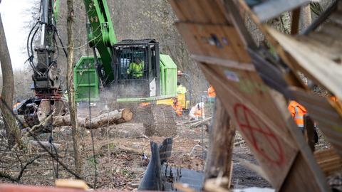 Ein Harvester im Wald, davor liegen Teile der Baumhäuser.