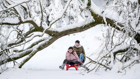 Eine Frau und ein Kind rodeln im Taunus unter einem Baum durch, der durch die Schneelast umgefallen ist. 