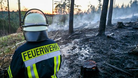 Feuerwehrmann im Wald