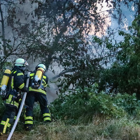 Feuerwehrmänner in einem Waldstück