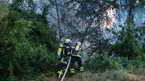 Zwei Feuerwehrmänner in einem Waldstück löschen Flammen.