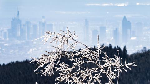 Blick vom Großen Feldberg auf Frankfurt