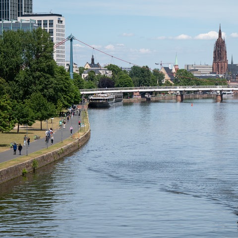 Das Mainufer in Frankfurt.