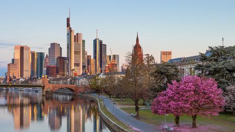 Mainufer in Frankfurt